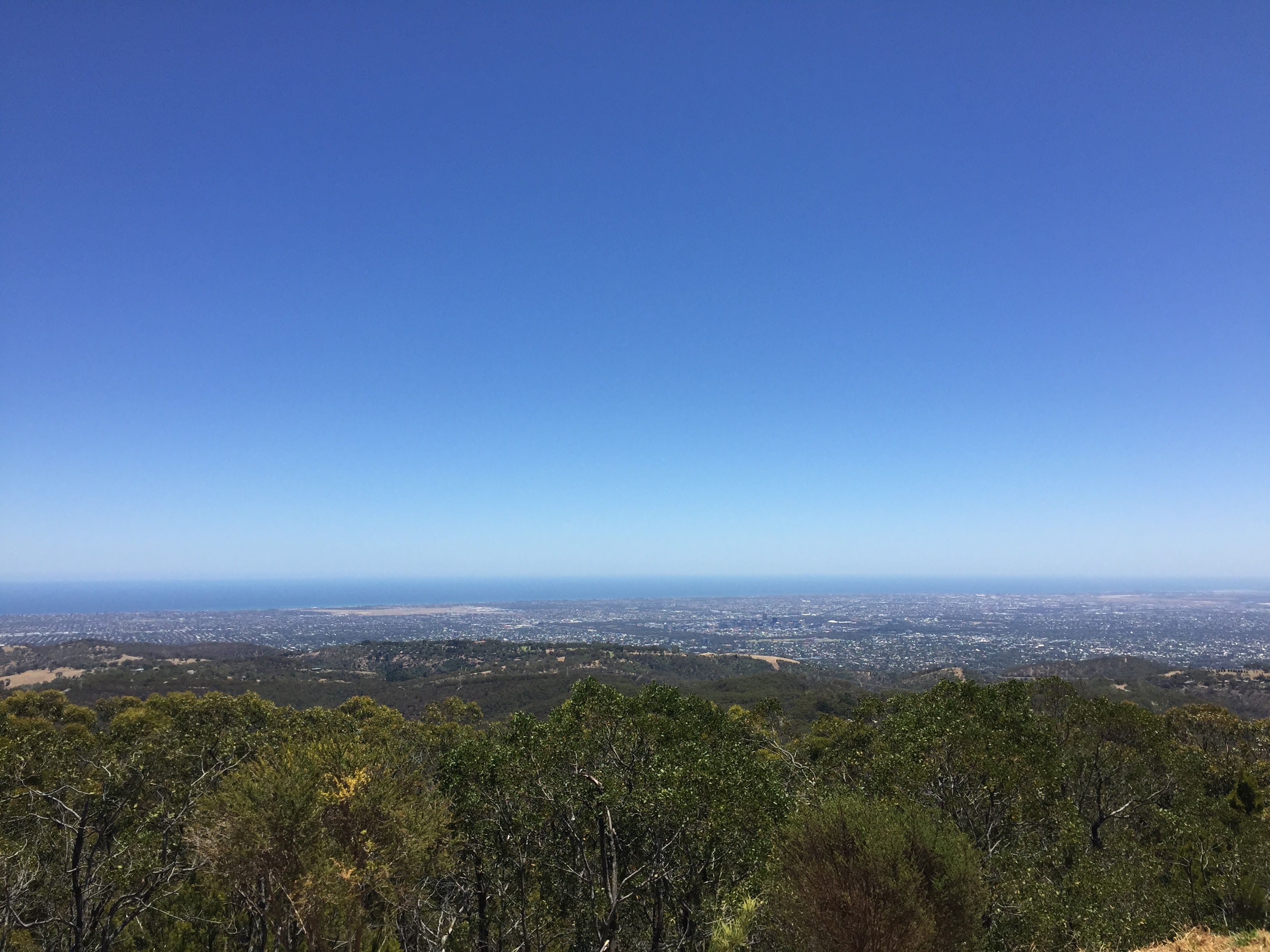 Adelaide from Mount Lofty