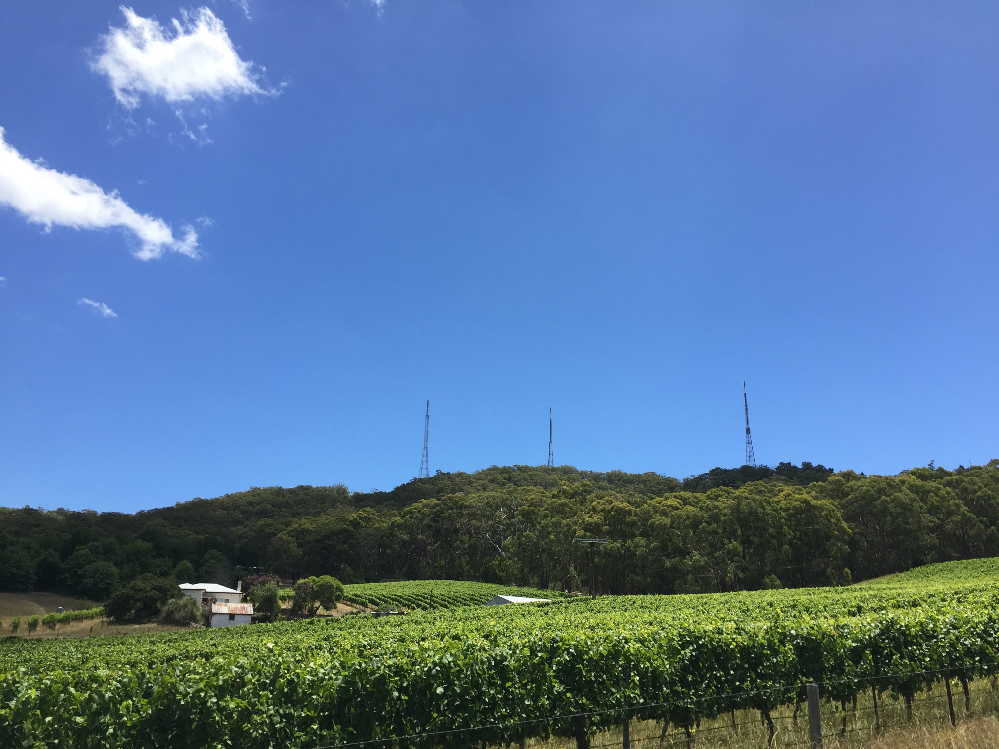 Mount Lofty TV Towers